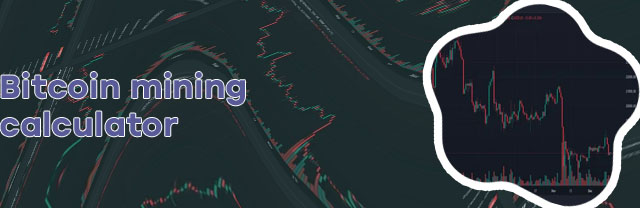 Bitcoin price to usd calculator