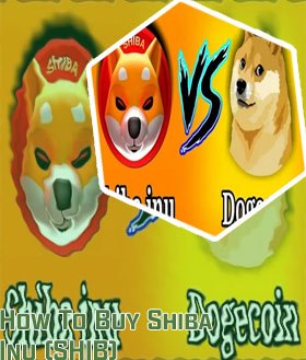 How to buy shiba inu crypto in usa