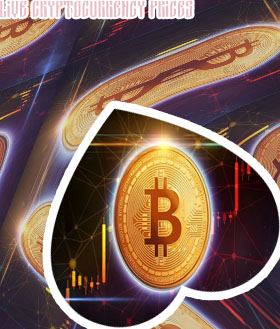 Live bitcoin