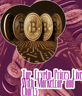 Top 25 cryptocurrencies